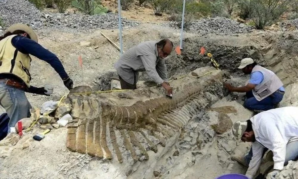 Βρέθηκαν τα λείψανα ενός χορτοφάγου δεινόσαυρου ηλικίας 125 εκατ. ετών